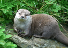 Edinburgh Zoo